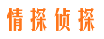 从化市婚外情调查